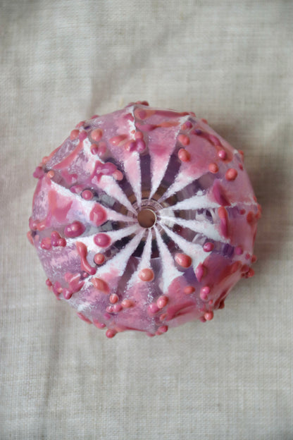 Sea Urchin Art Glass Paperweight
