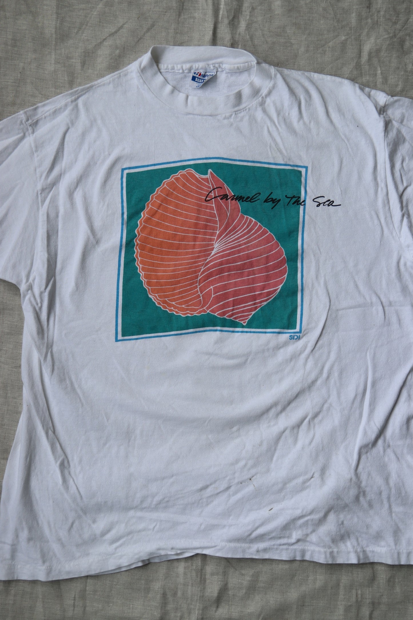 Shell Tshirt