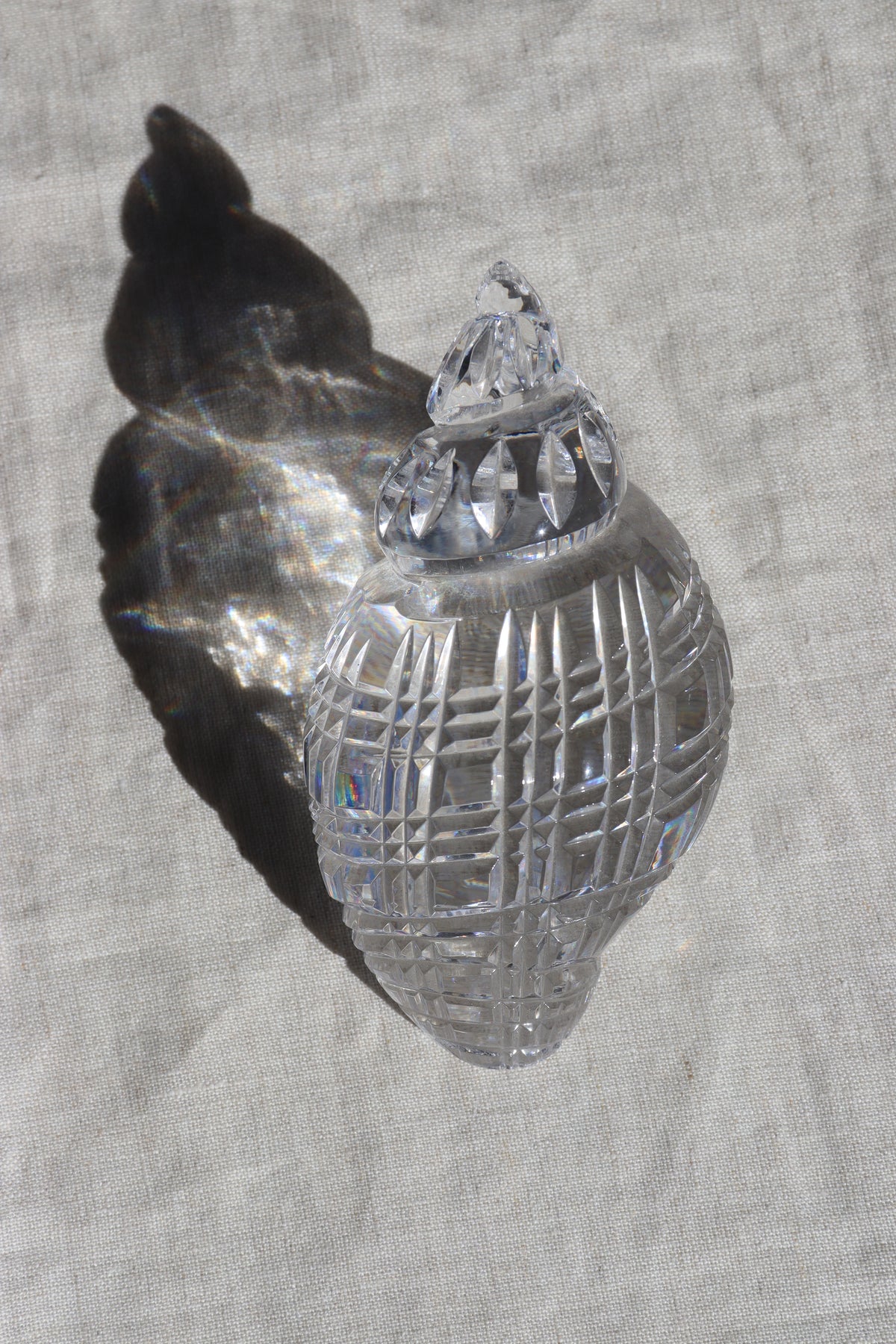 Waterford Crystal Shell Paperweight