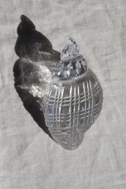 Waterford Crystal Shell Paperweight