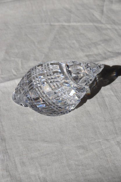 Waterford Crystal Shell Paperweight