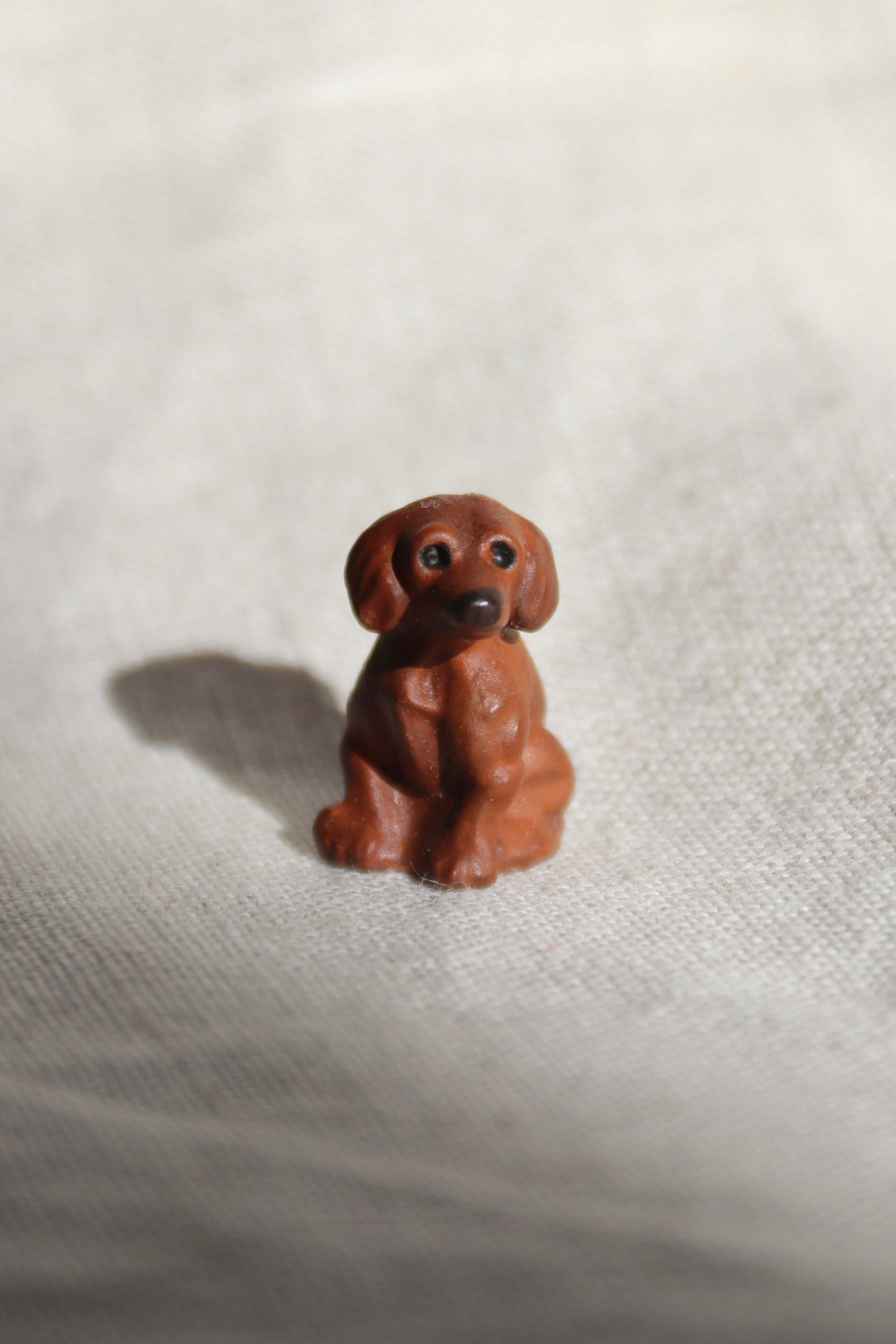 Miniature dog