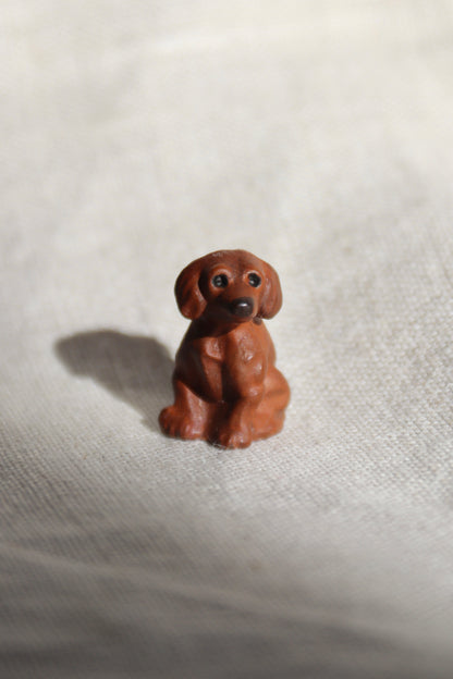Miniature dog