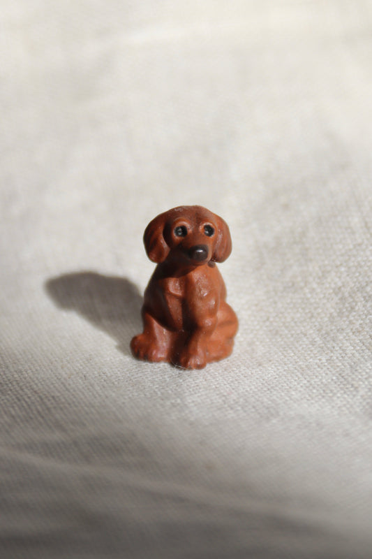 Miniature dog