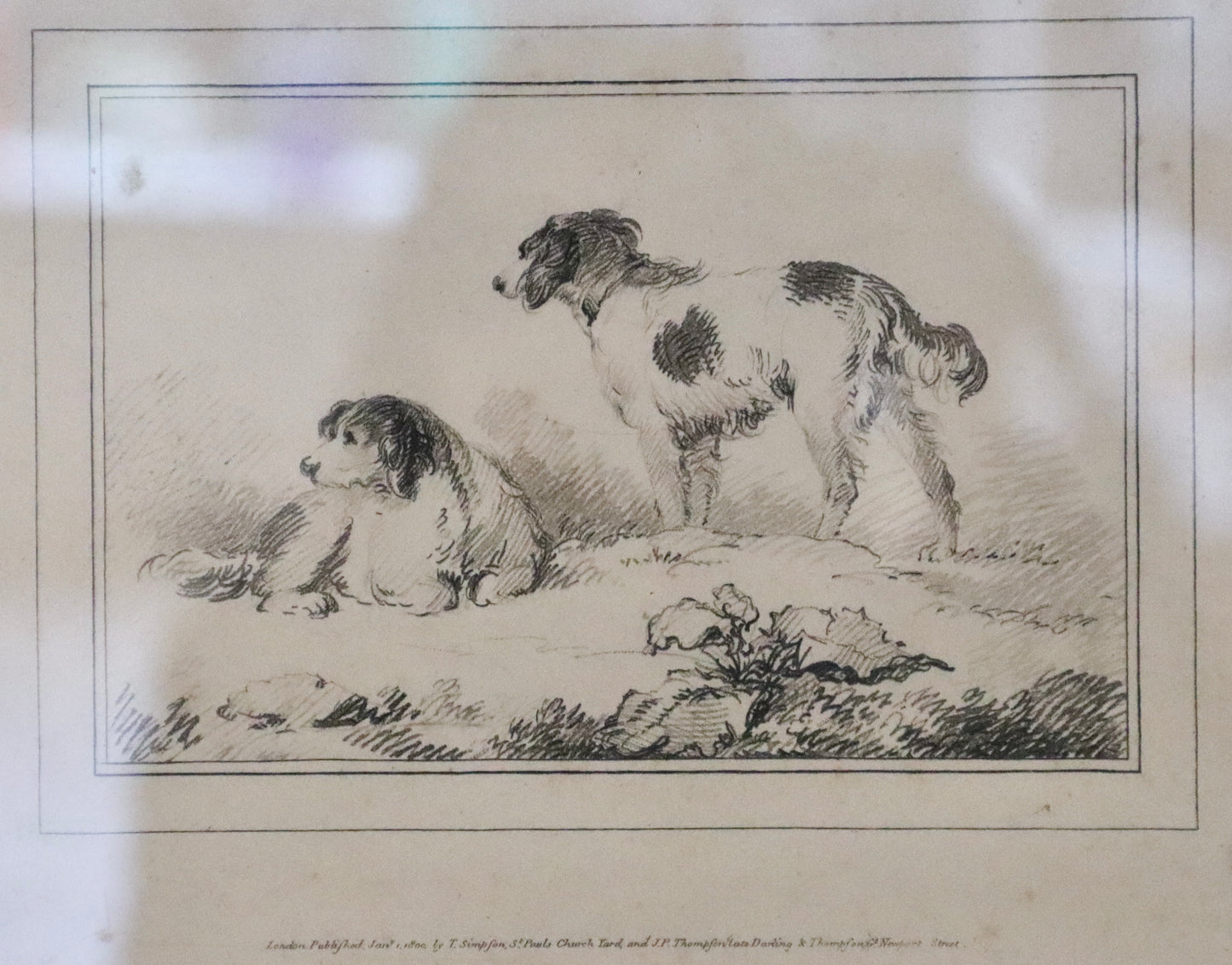 Framed Dog Drawing
