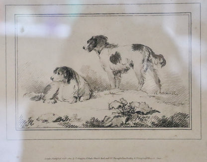 Framed Dog Drawing