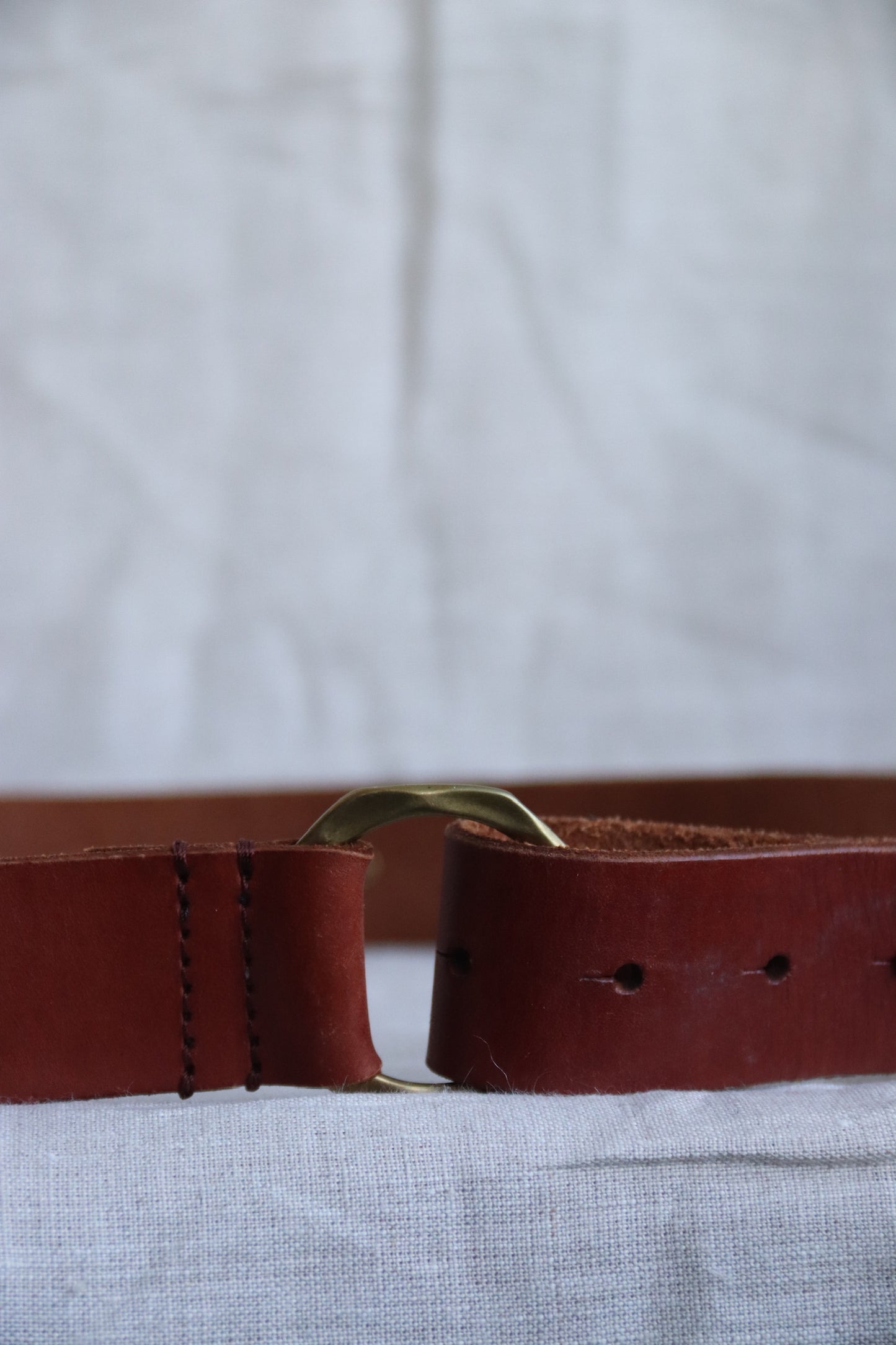 Lucky Brand Brown and Brass Loop Belt