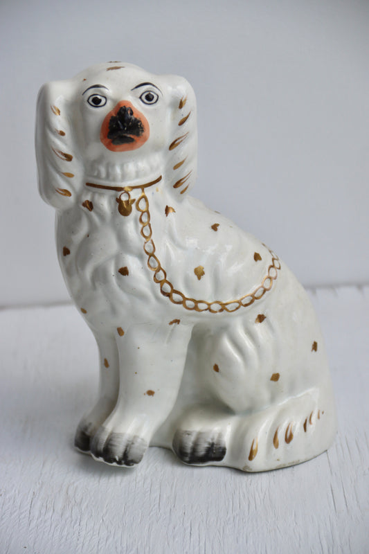 Small Staffordshire Dog