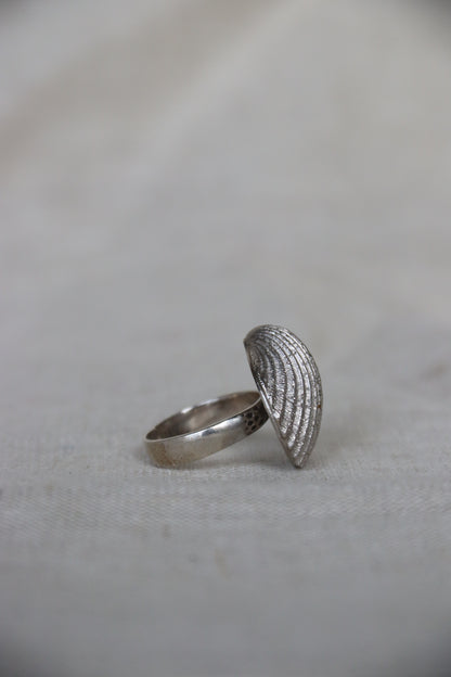 Sterling Silver Shell Ring