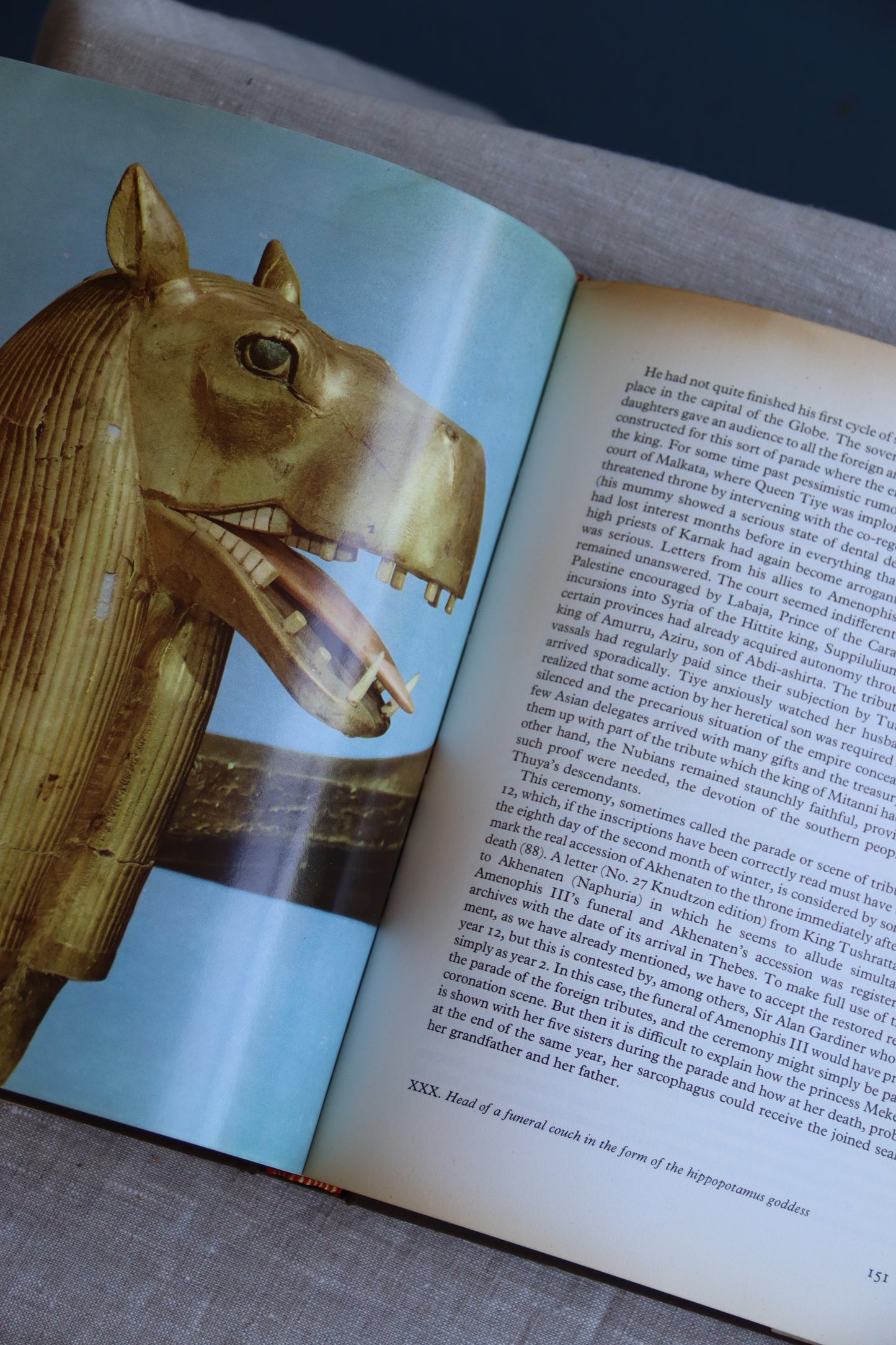 Tutankhamen Art Book